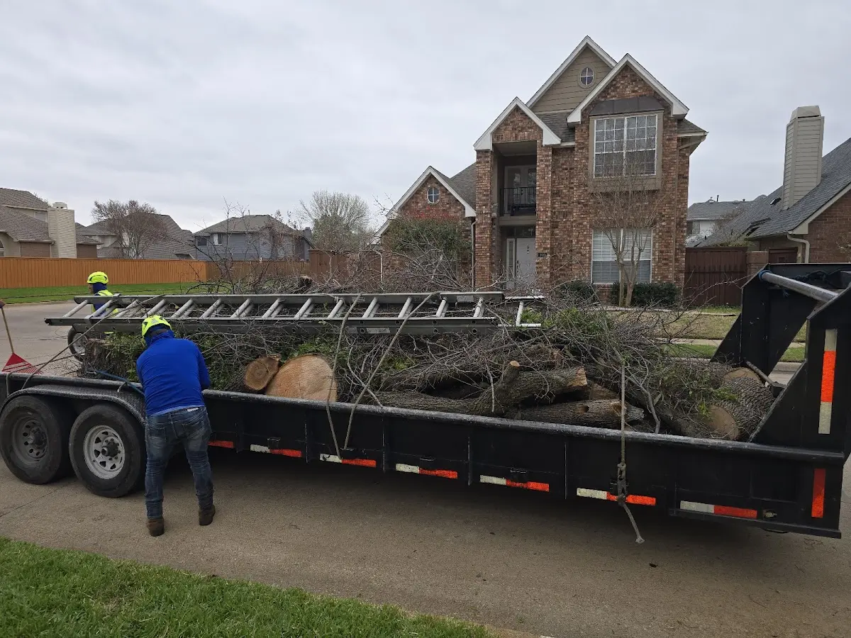 Expert Tree Removal with proper safety equipment in Ridge Farm